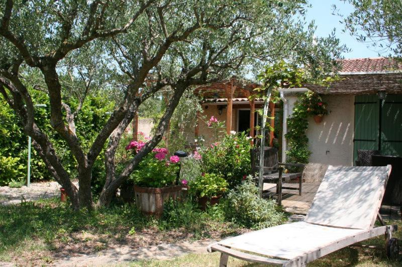 Gite Des Oliviers La Roque-sur-Cèze Zewnętrze zdjęcie